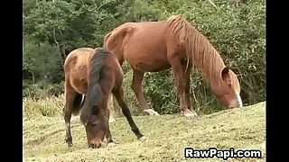 14874 gay anal porn videos